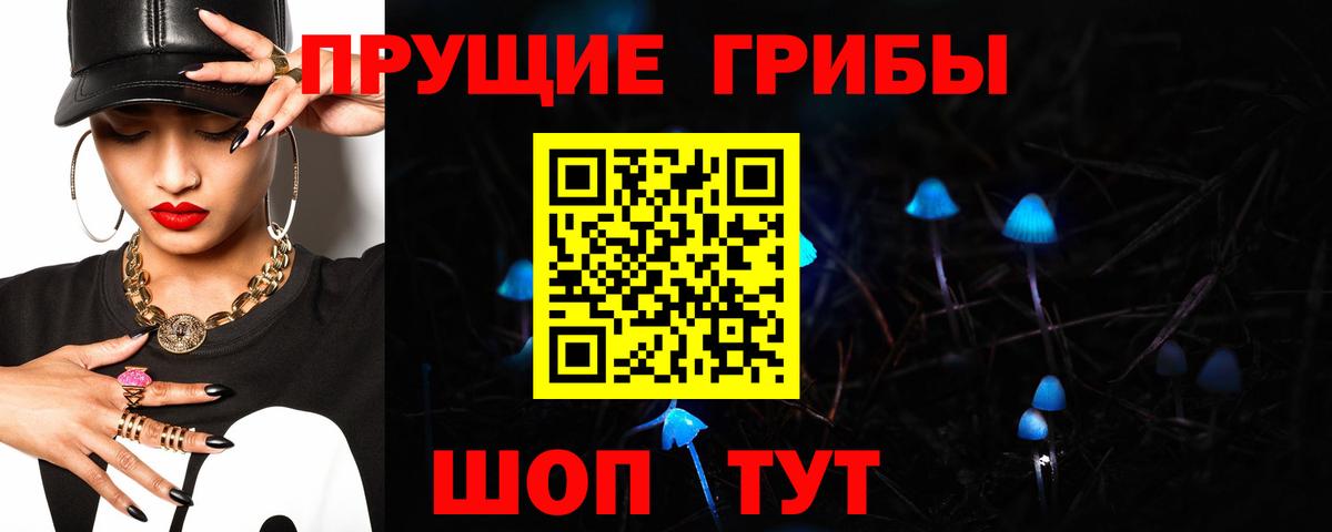 Чита  Псилоцибиновые грибы Cubensis  Вход с VPN  Галлюциногенные грибы GOLDEN TEACHER 